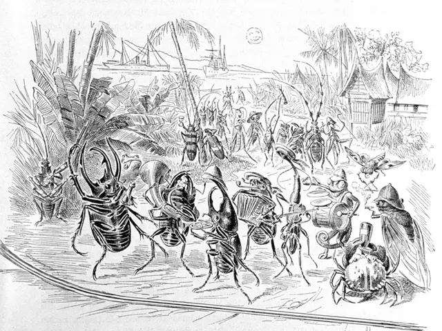 Emily Ralph: Identificazione individuale