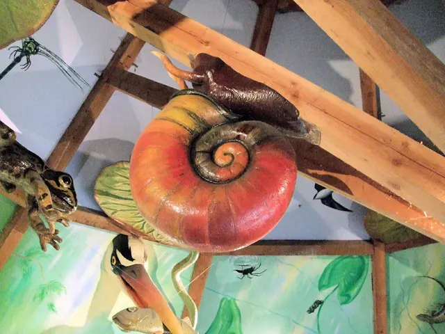 Dispositivi antistress: i Taba Squishies funzionano?