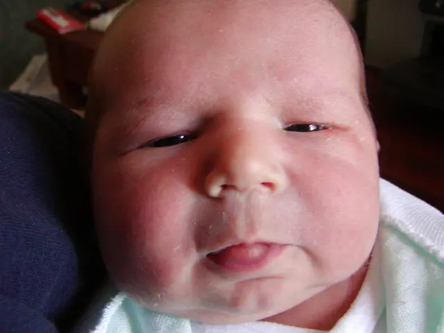 Navigare l'Incrocio tra Saggezza Antica e Guidance contemporanea nell'Educazione Infantile