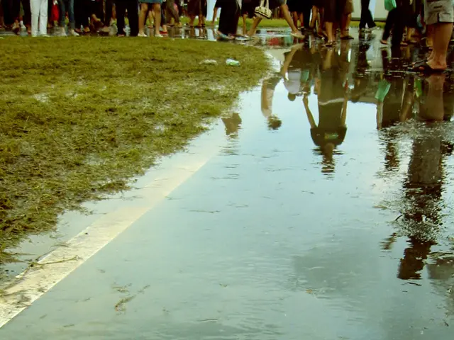Il settore della birra affronta sfide a causa della diminuzione della domanda, despite alle...