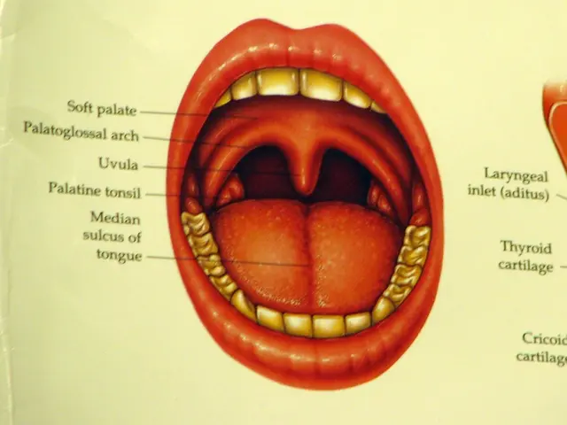 Ruolo del cervello negli esami poligrafici: Rivelare informazioni nascoste mediante la neuroscience