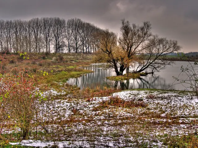 Allergie da pioggia: Ragioni e informazioni aggiuntive