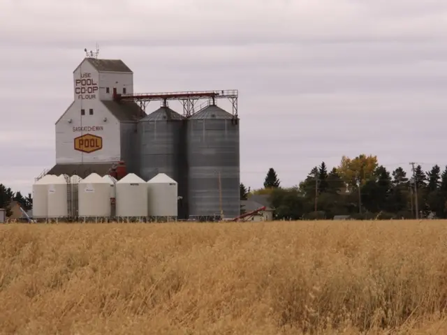 La raffineria indiana in difficoltà Nayara ricorre a una flotta clandestina in risposta alle...