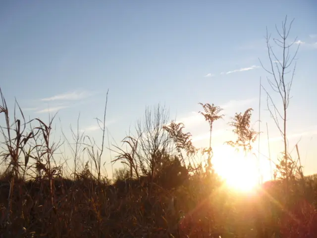 Età su Ogni Pianeta: Una Disamina