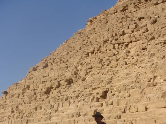 Sharon Stone augura 'buona fortuna' se si prova a rifare il suo celebre capolavoro cinematografico