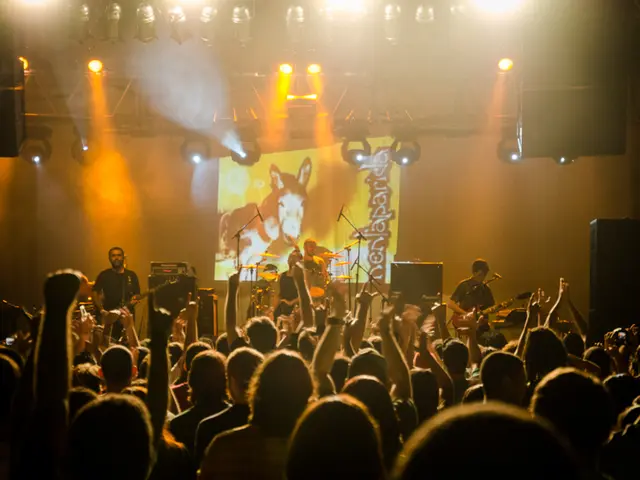 Indagare sulla neurologa sottostante: perché alcuni suoni scatenano una risposta di ripiegamento