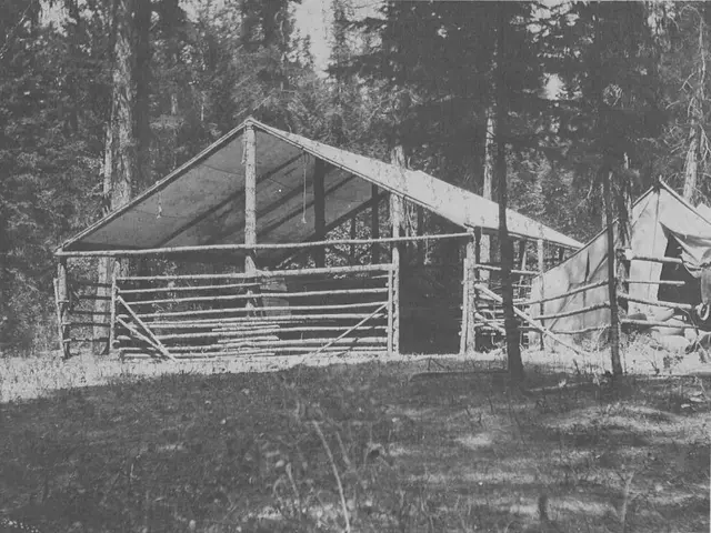 Incidente di bombardamento a Tepalcatepec, Michoacán causa vittime tra gli animali; almeno una...