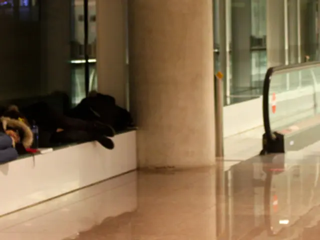 Scalemodificate per l'elettricità sono installate a Bellas Artes; il Metro apporta modifiche agli...