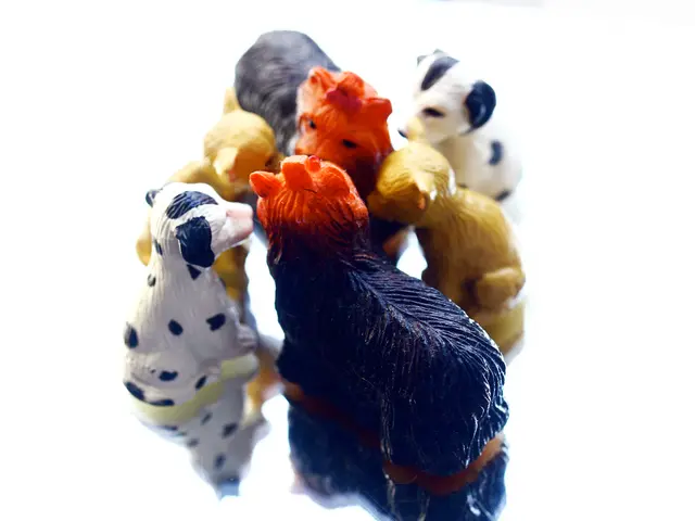 giocattolo degli anni '80 per bambine in vendita a £15 da B&M causa vero e proprio delirio tra gli...