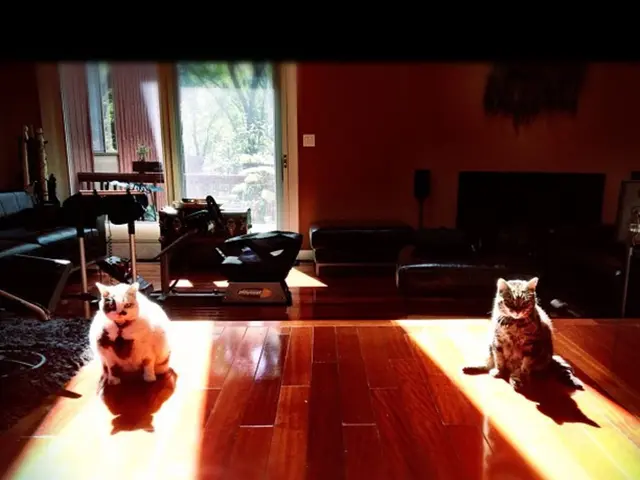 Reti Neurali Focused Organizzate in Formato Tabulare: Metodo basato sui Nodi