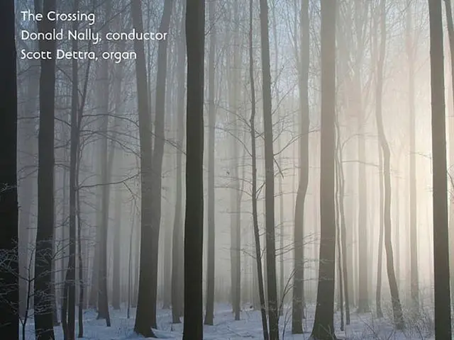  Großenza un Piano di Studio Autoguidato di Un anno di Scienze dei Dati Utilizzando i Cicli...