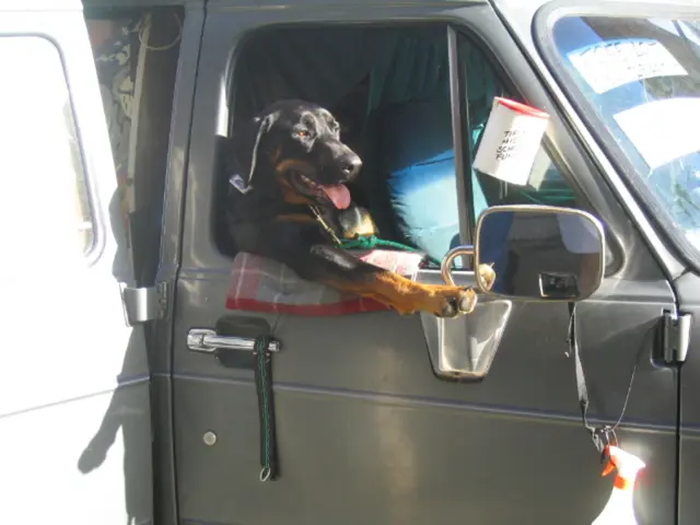 Trattamento dei danni polmonari da sepsi con terapia all'ozono