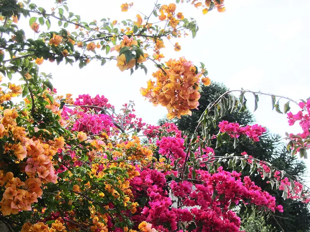 Nigel Slater, inizialmente indifferente ai fiori, ora si ritrova in possesso di un vivace giardino.