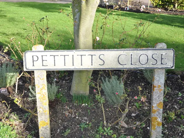 Attrezzatura essenziale per la piantumazione a radici nude di alberi e arbusti: una guida completa