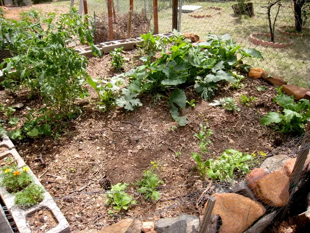Esplorare l'essenza vera del 'giardinaggio' organico: Smascherare il gergo e valutarne la praticità