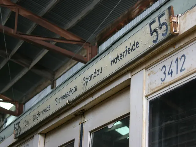 Scarti di vendita per il Black Friday 2024