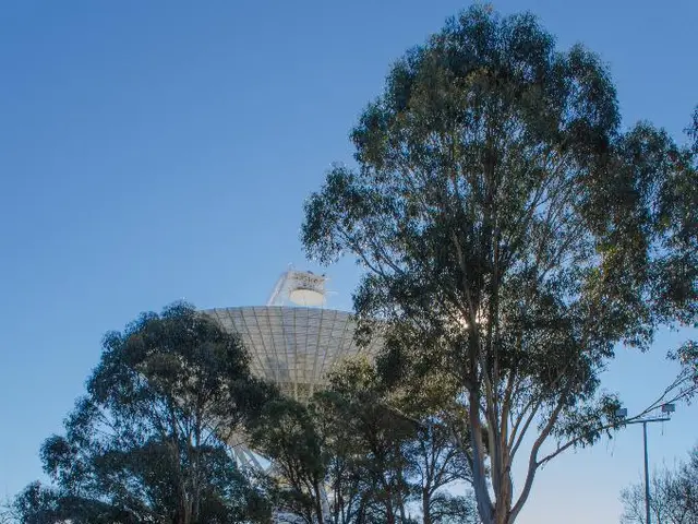 Strategie per il mantenimento di un prato sano: consigli imperdibili per far crescere un prato...