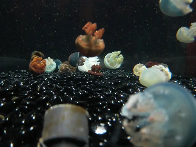 Cybermedusa Abissale Potrebbe Essere l'Ultimo Avanzamento nella Ricerca Oceanica