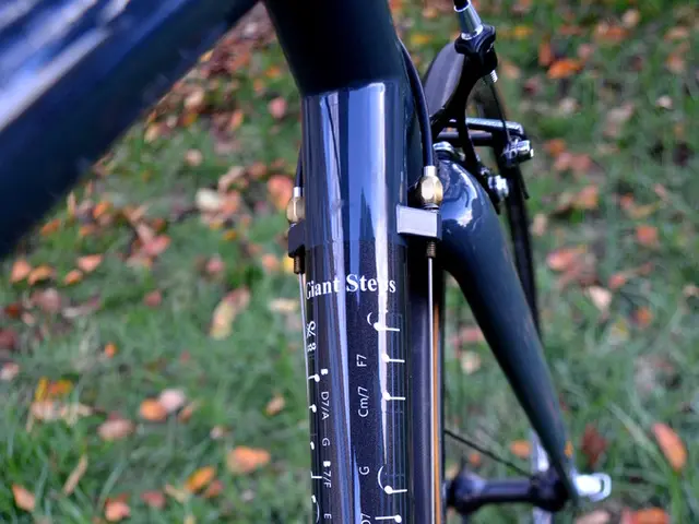 Bastone per la deambulazione sostitutivo per la mobilità post-operatoria, evita inciampi agli...