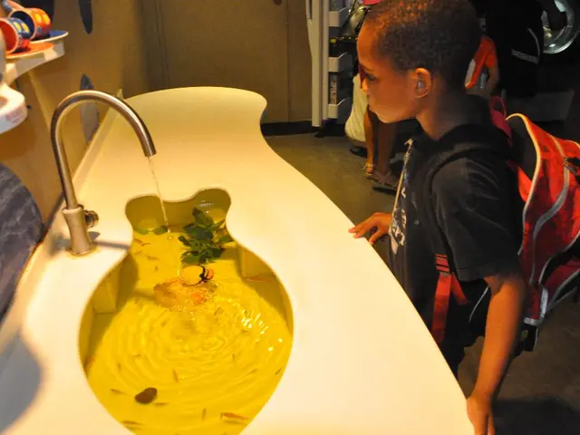 La megabill di Trump dettaglia le modifiche fiscali programmate per il 2025, con un impatto...