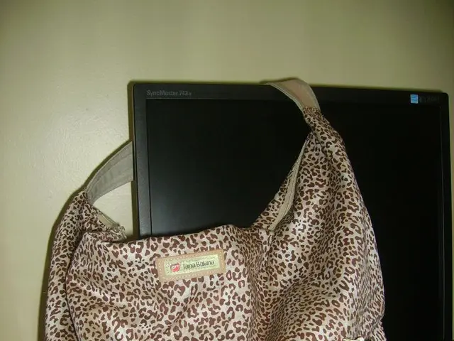 Valutare il Valore di un Grosso Telescopio Astronomico: È un Investimento Saggio?