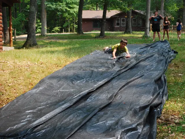 Una compilazione non autorizzata di whisky deliziosi perfetti per il consumo delle festività, in...