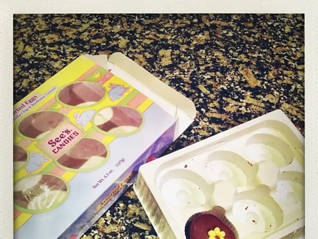 Animali Storici come animali domestici: zebre, aragoste, leoni e l'elefante baby di Reagan - i...