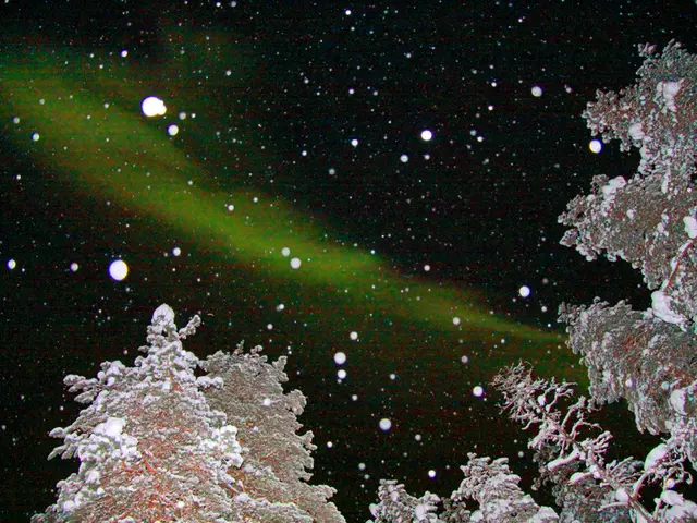 I 5 migliori varietà di colchici da piantare per boccioli di primavera incantatori