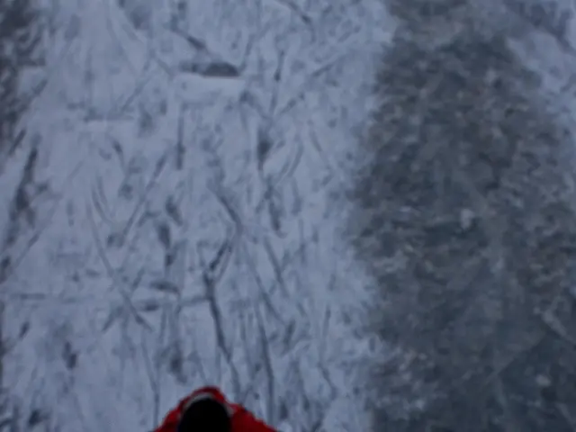 esperienza nell'utilizzo di una giacca imbottita ecologica di The North Face per quattro anni;...