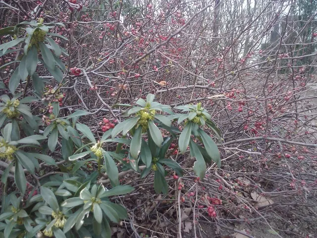 I grandi sindacati degli insegnanti nel paese hanno trasferito vicini ai 50 milioni di dollari a...