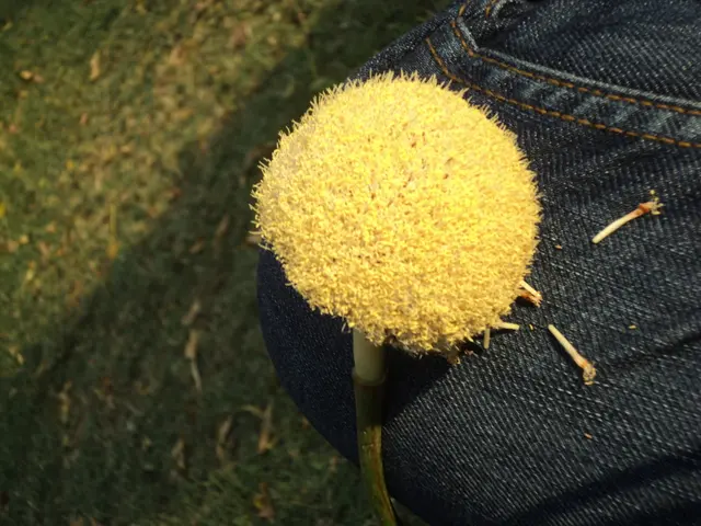 Visti tutti i colori del Google Pixel 10, questi sono i miei preferiti