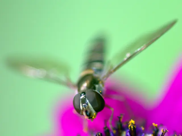 Sintomi associati alle allergie, le loro varianti e situazioni in cui è raccomandato l'intervento...