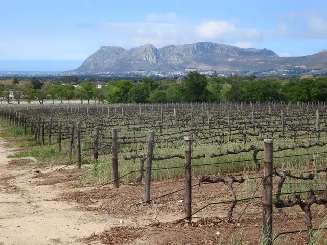 Rinascita Prospera di Green Acres