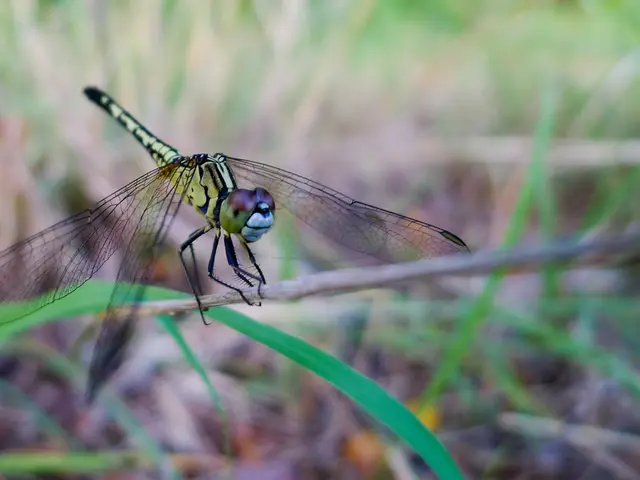 Invertitori di energia prodotti da Haier sono stati confermati come compatibili con la gamma di...