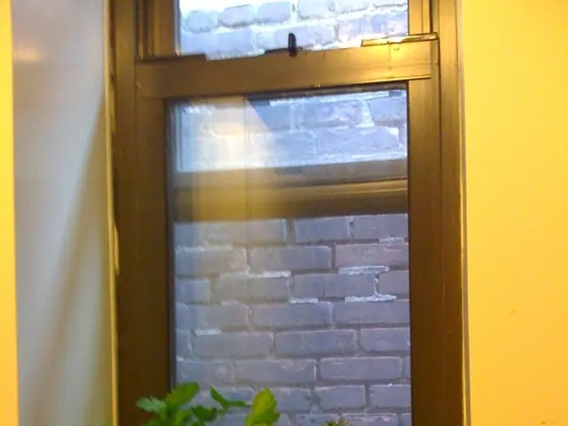 Giardinaggio in appartamento: errori comuni da evitare