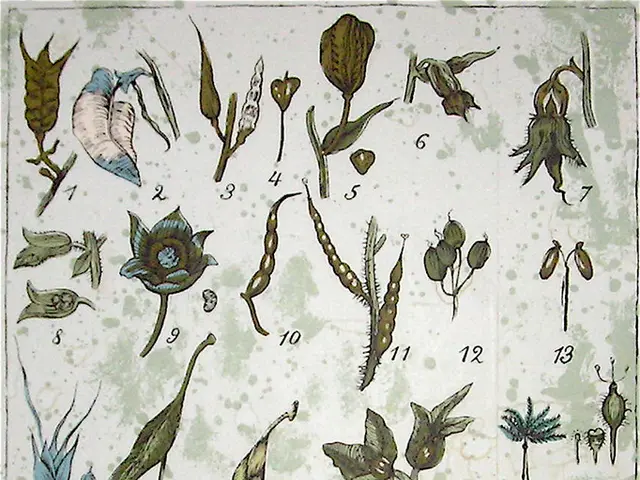 Trasformare il tuo giardino in un rifugio con 5 passaggi semplici