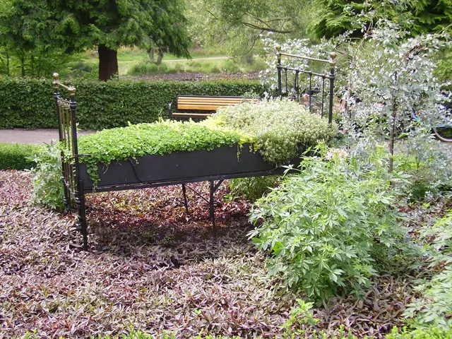 Confronti di Piante da Interno a Basso Manutenzione: Pothos vs. Philodendron