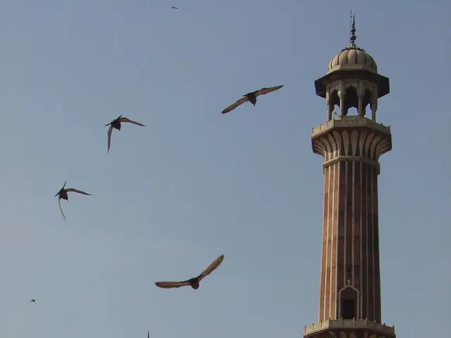 Capo di Stato Lituano renderà omaggio alla Funerale del Papa Francesco