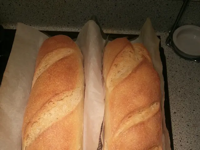 Svelare i misteri del grasso corporeo bruno come nuova strategia nella lotta contro l'obesità