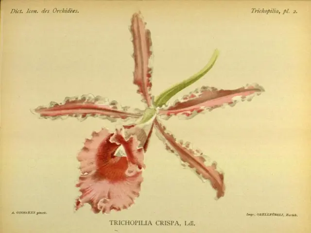 Identificare i componenti di un pick-up artist/fioritura