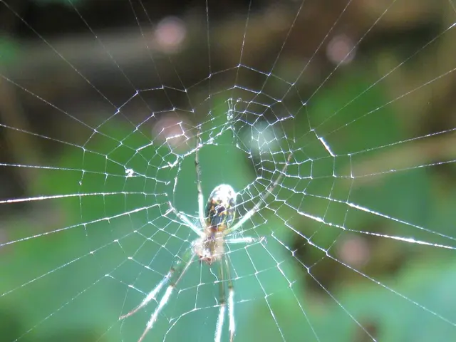 Informazioni sulla politica di Medicare riguardo alla copertura di Arava