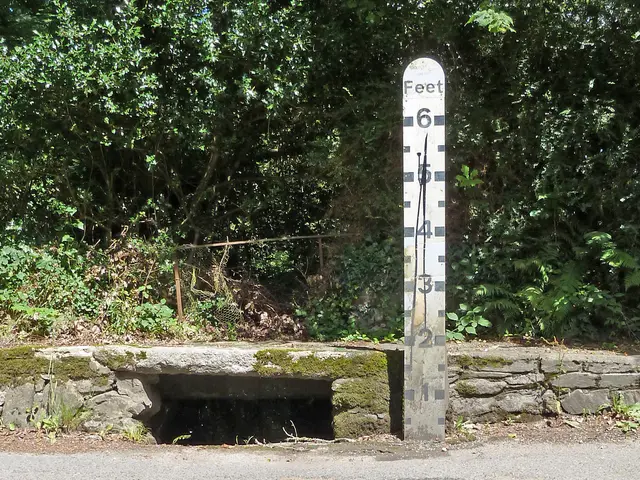 Città di Skellefteå Volteggia in Alto: Altezze Scommesse a Lumberland