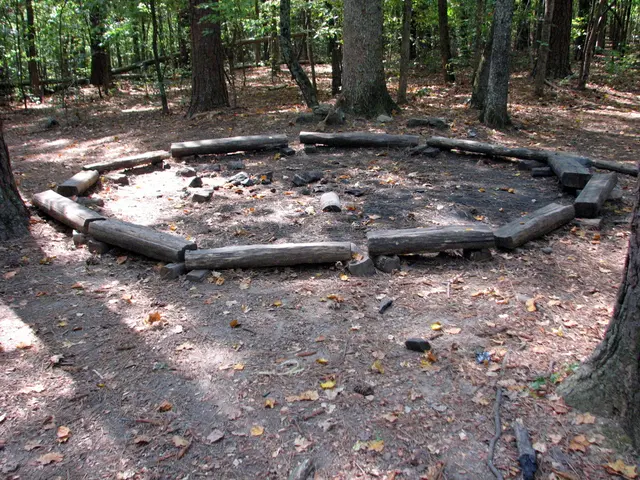 Dati forestali: informazioni complete