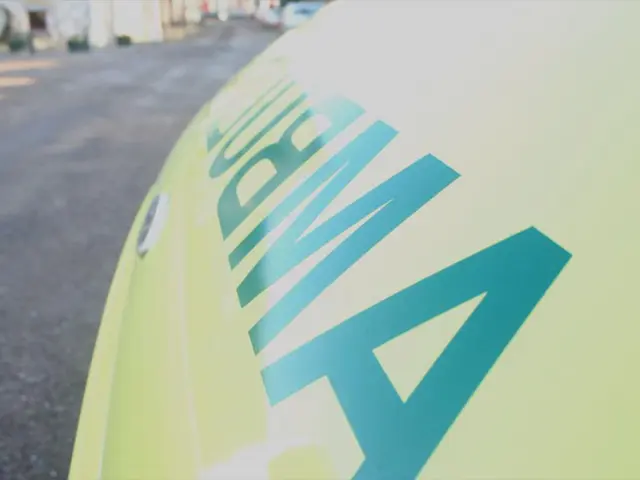 EnBW passa alla produzione di energia a gas e idrogeno con il progetto dell'ultima centrale...