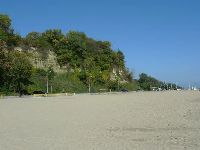 Restauro delle Dune Costiere del Baltico: Arresto dell'Erosione e Protezione dei Santuari Ecologici