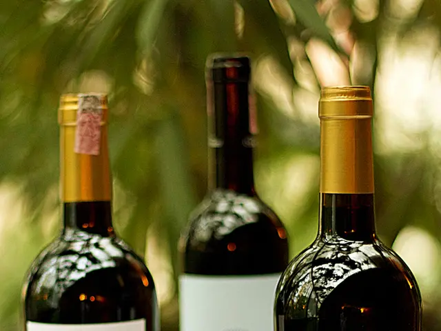  oneself stomaco il preoccuparsi per disagio al petto?