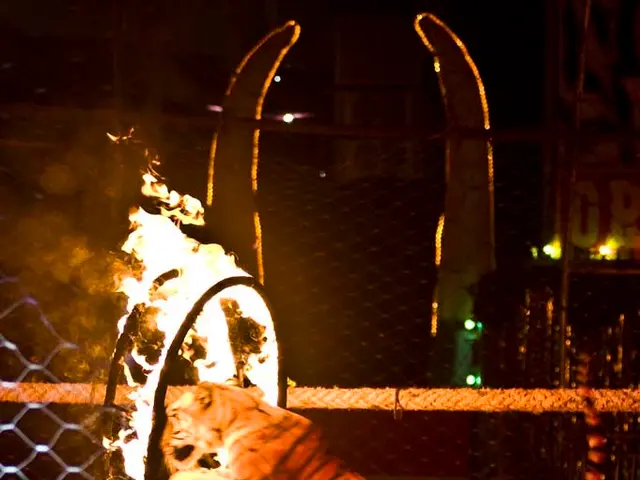 Il 26 agosto 2025, i segni dello zodiaco cinese con il potenziale per la buona fortuna e la...