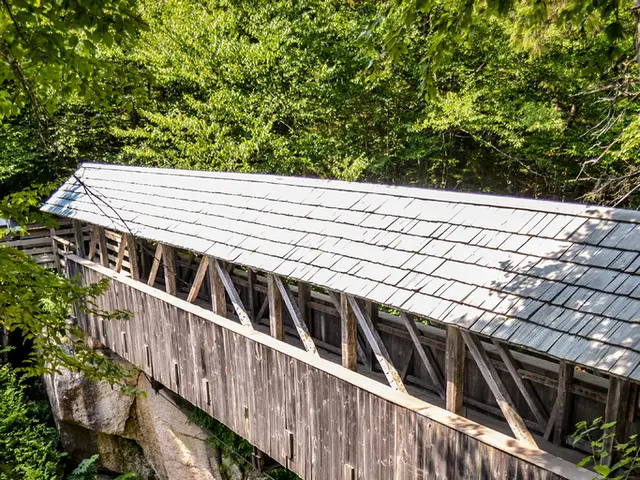 Costruendo barriere per la ritenzione dell'acqua e la preservazione del suolo attraverso gli...
