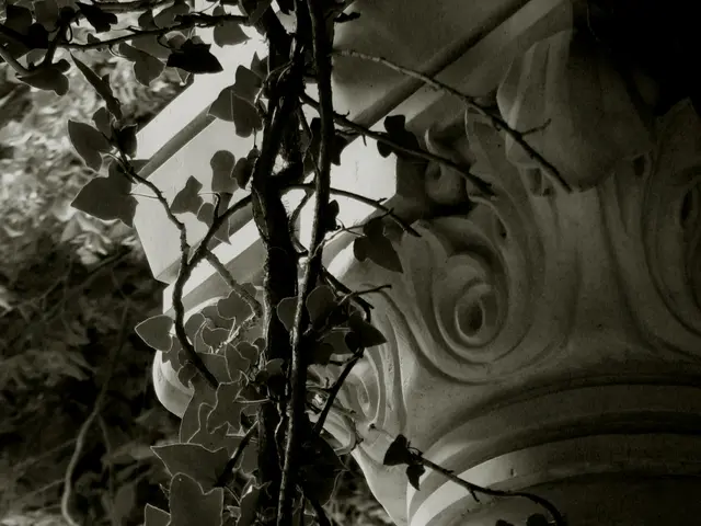 Sbalorditive Sviluppi Previsti per gli Anelli Ben Noti di Saturno nel 2025!