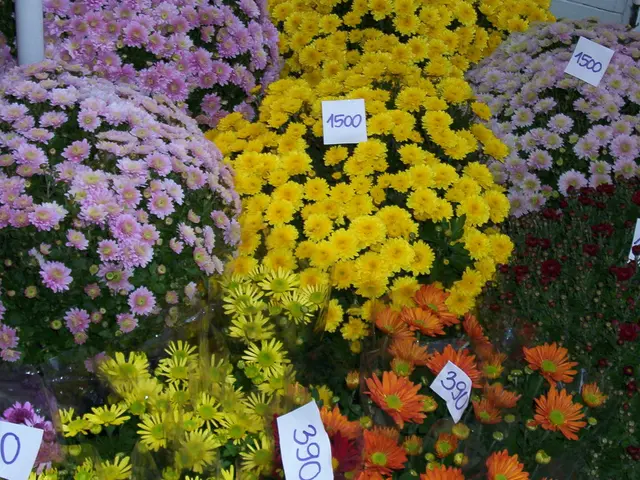 Predizione future per Cardano's ADA: Possibilità di raggiungere $5 entro il 2025?